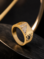 Aanura 18K Gold-Plated Crystal Panel Ring For Him
