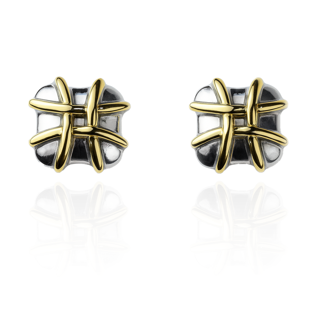 Aanura Stellar Grid Stainless Steel Stud Earrings