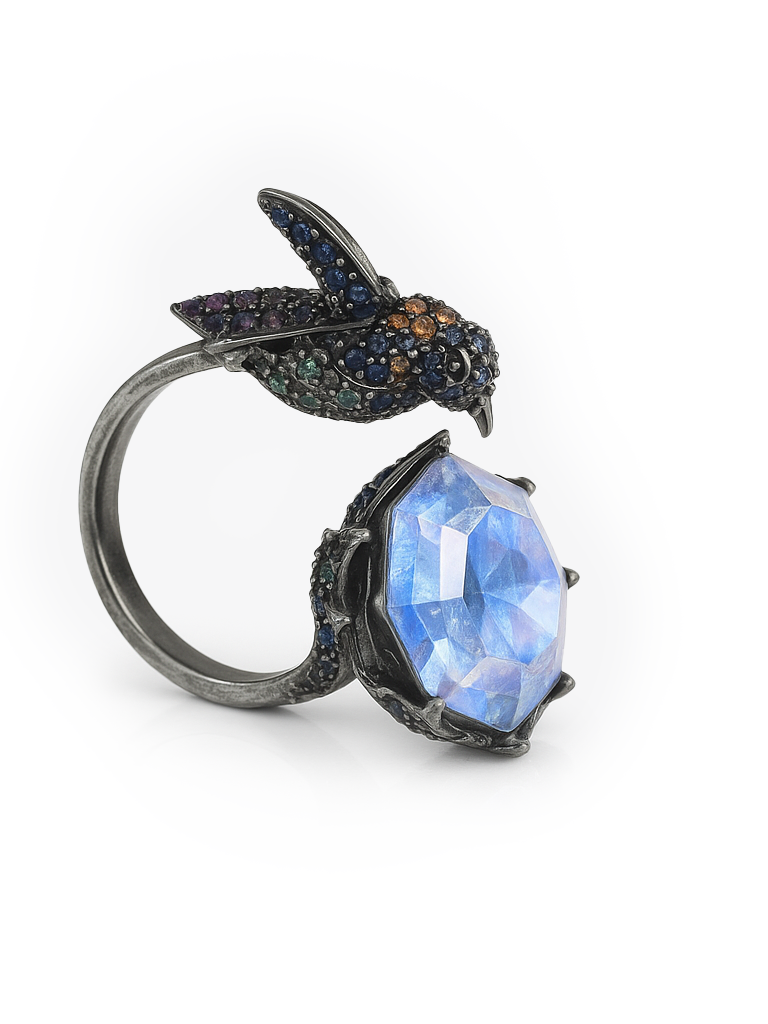 Aanura Silver Encrusted Insect-Inspired Ring