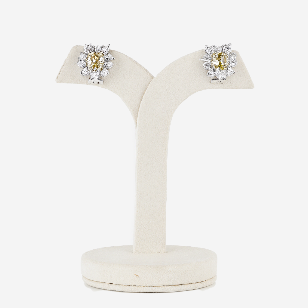 Aanura Red Gemstone Floral Halo Stud Earrings