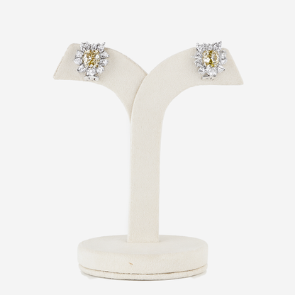 Aanura Red Gemstone Floral Halo Stud Earrings