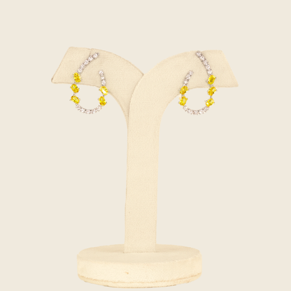 Aanura Pink Crystal Sparkling Hoop Earrings