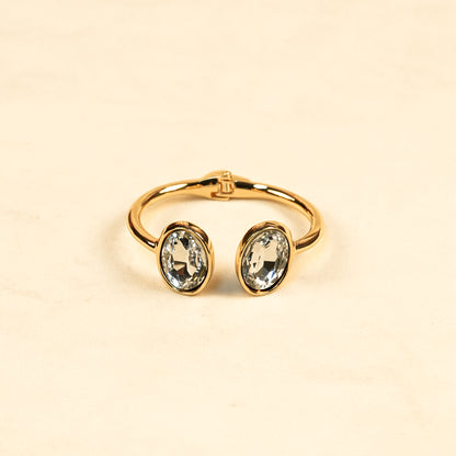 Aanura Gold Stainless Steel Dual-Stone Bangle Bracelet