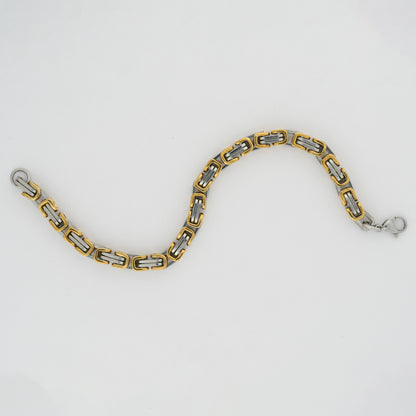 Aanura Dual-Tone Stainless Steel Bracelet For Men