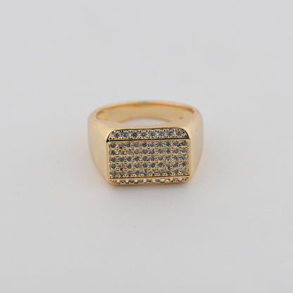 Aanura Gold-Plated Crystal Grid Ring For Men's