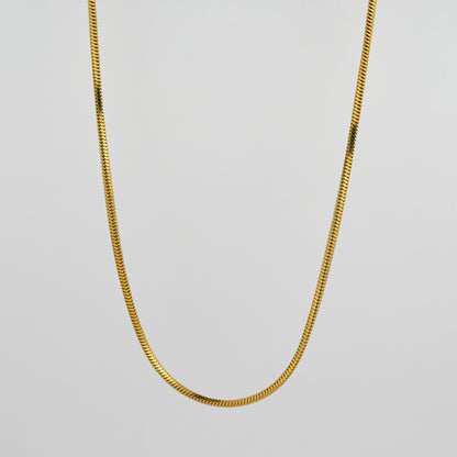 Aanura Gold Flat Chain Chain For Men