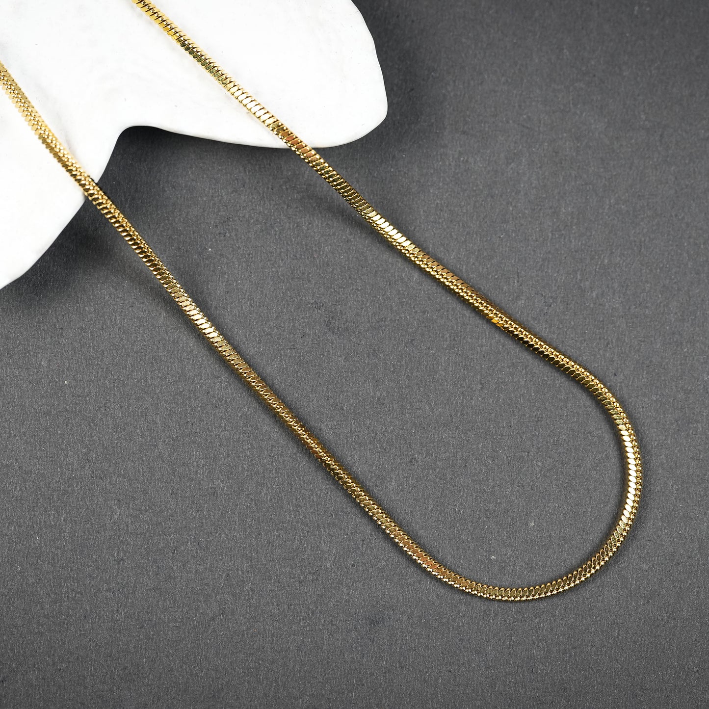 Aanura Gold Flat Chain Chain For Men