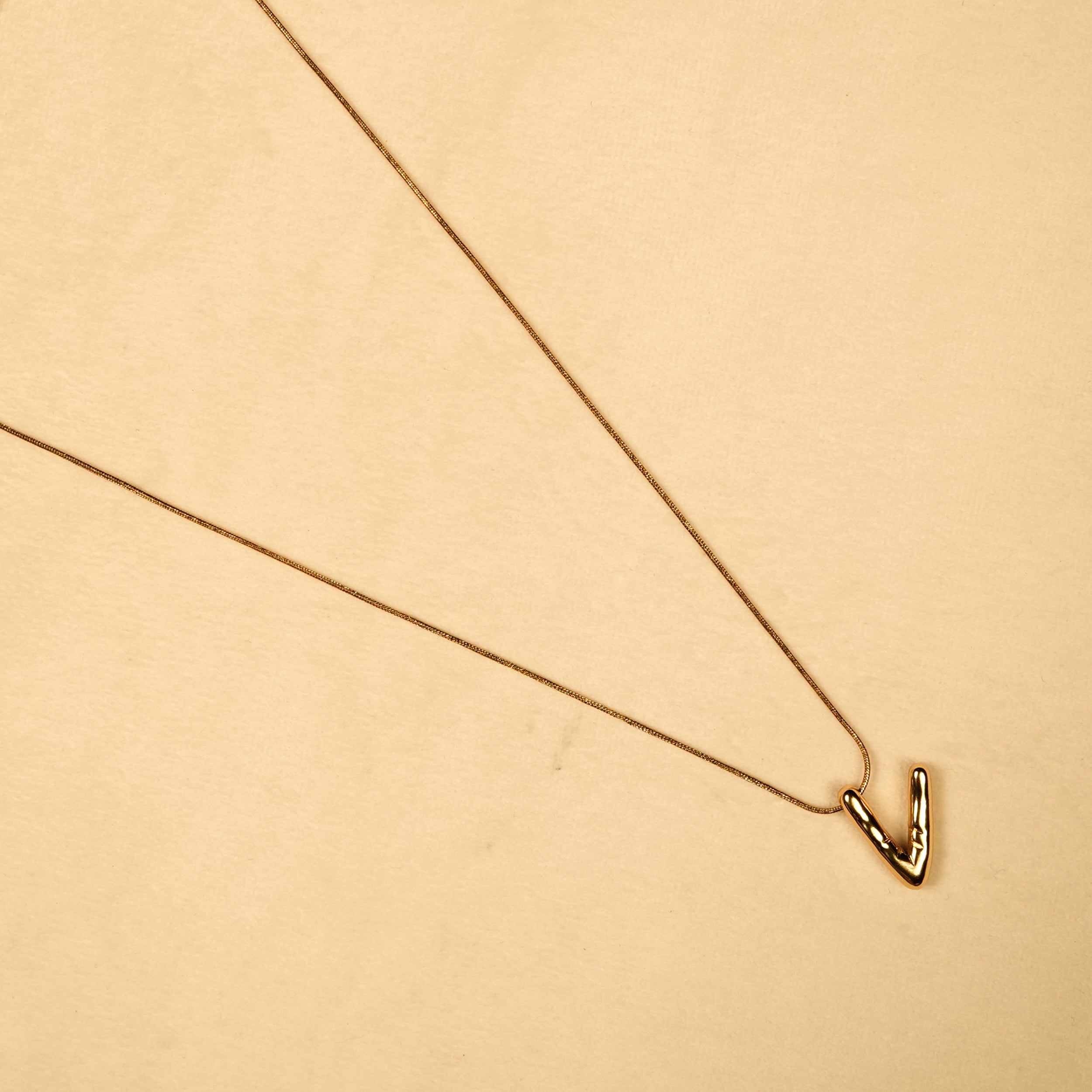 Aanura Sculpted V Pendant Necklace