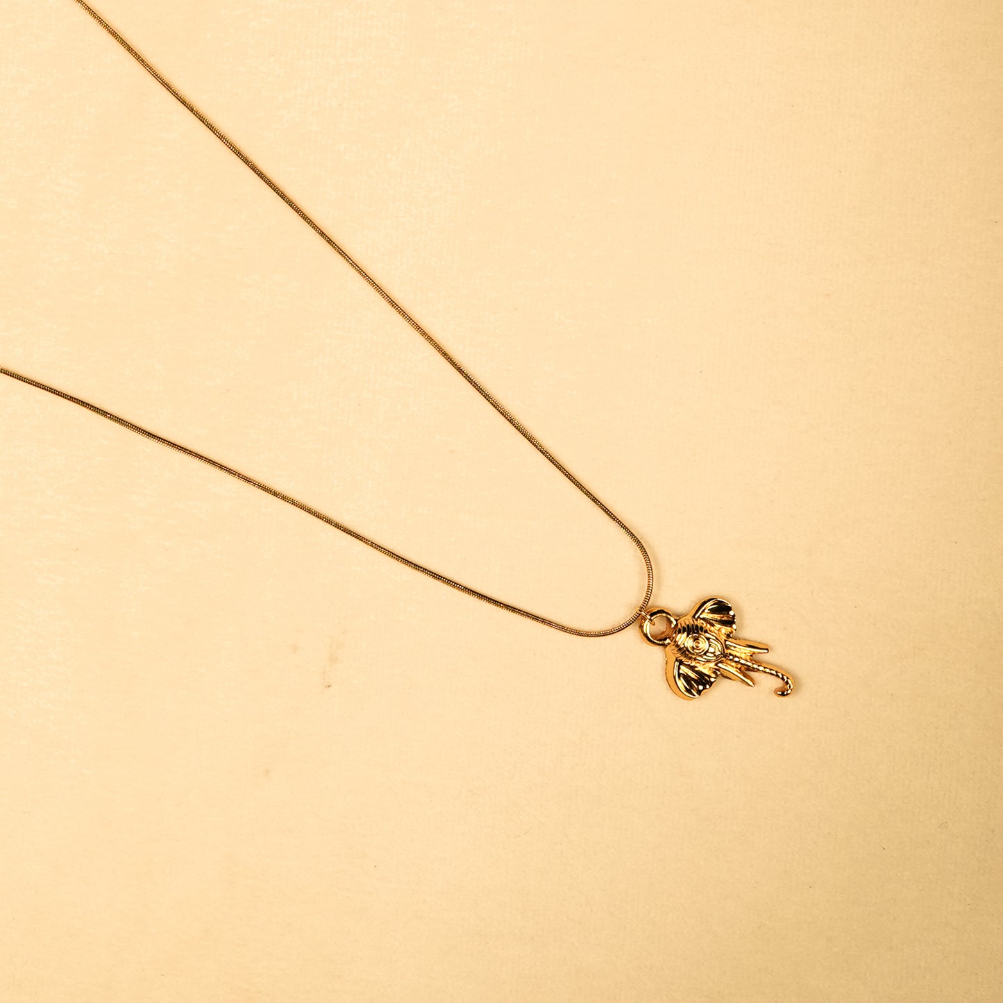 Aanura Angel Charm Minimal Pendant Necklace