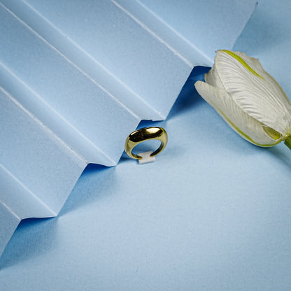 Aanura Gold Plated Sculpted Dome Ring