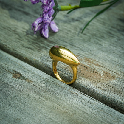 Aanura Minimalist gold & silver-tone teardrop