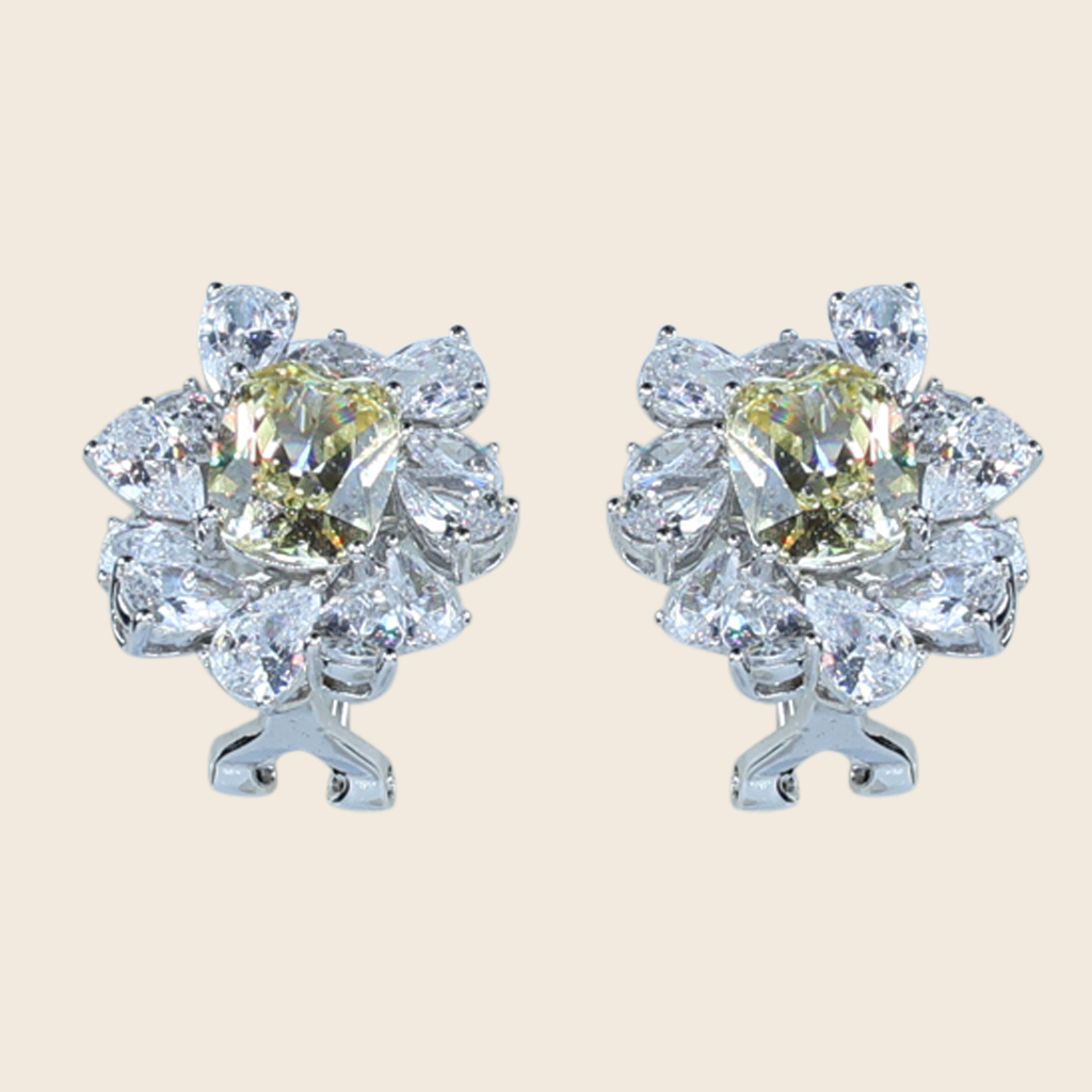 Aanura Red Gemstone Floral Halo Stud Earrings